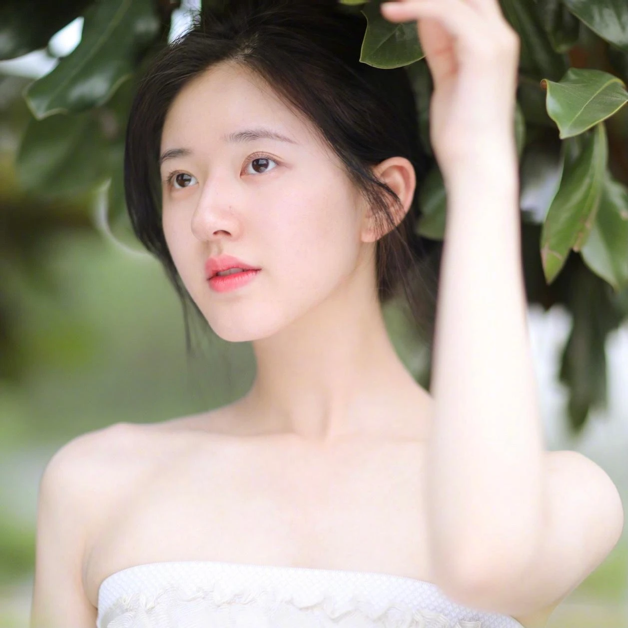 北楚云深