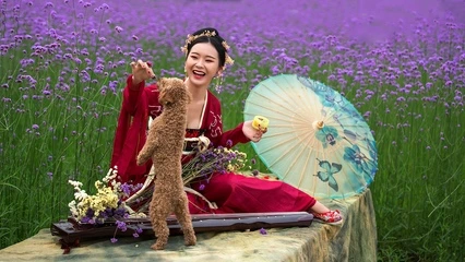 奶糖味的柒