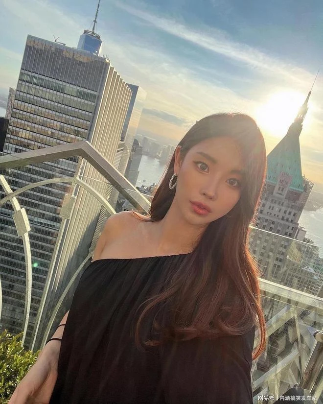 橘猫的夏天