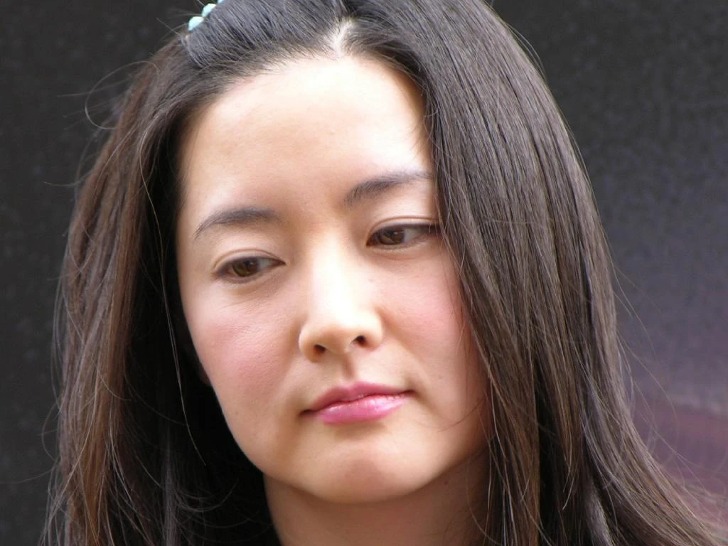 赤乌雁