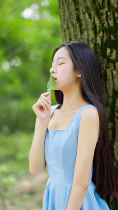冬月山茶