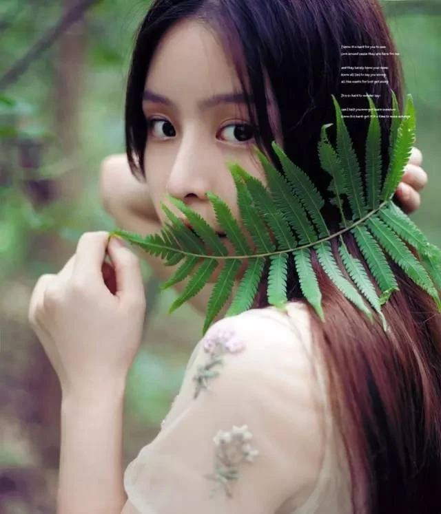 茶豆豆