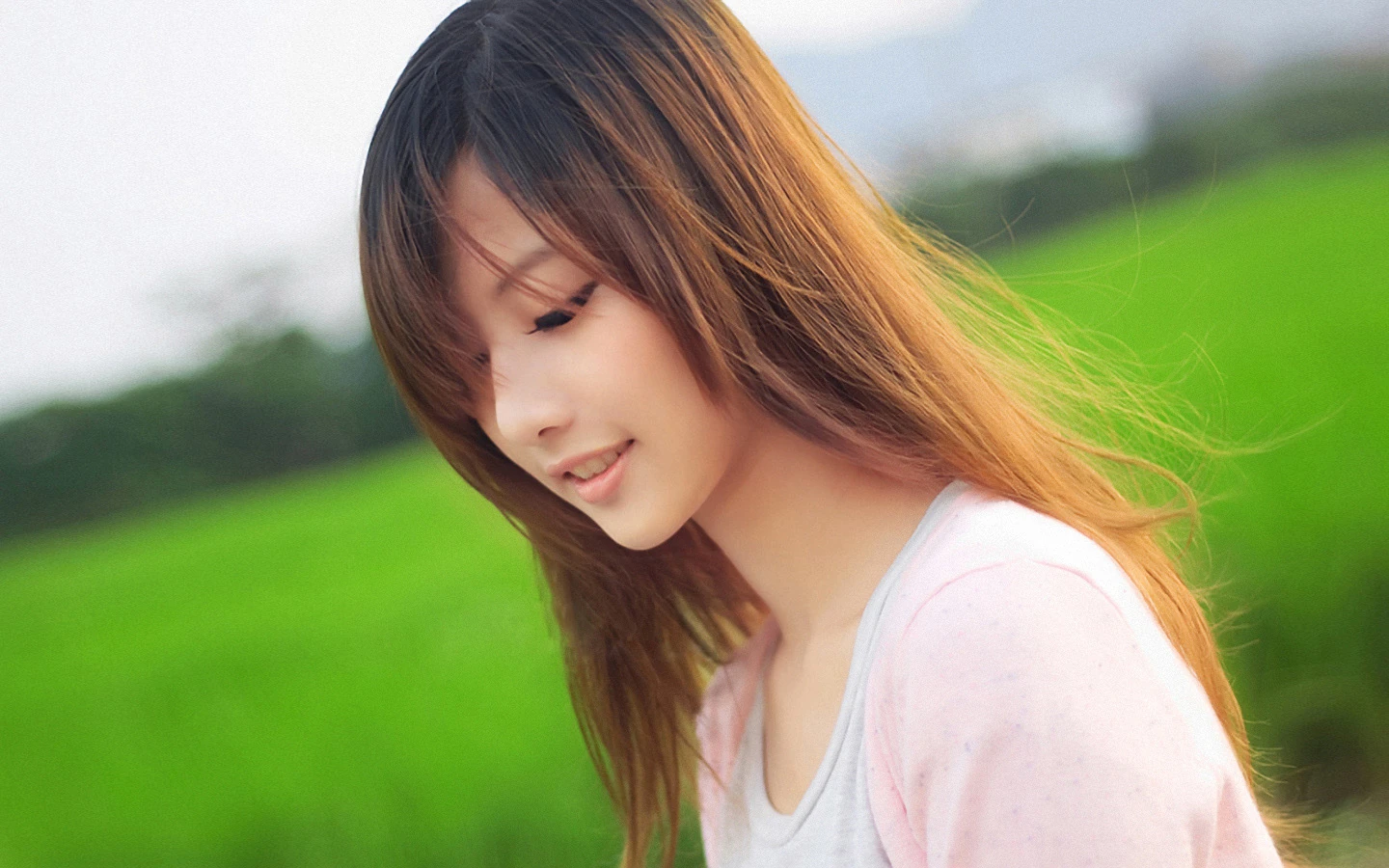虞辞砚