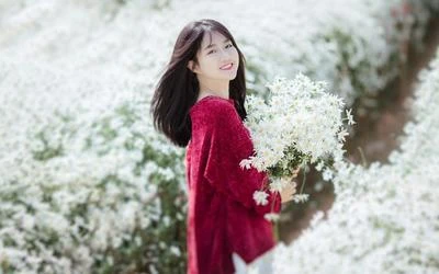 最新影视剧剧情盘点 哪些值得熬夜追