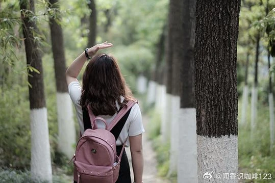 近期最火韩剧盘点 豆瓣高分剧你追过几部