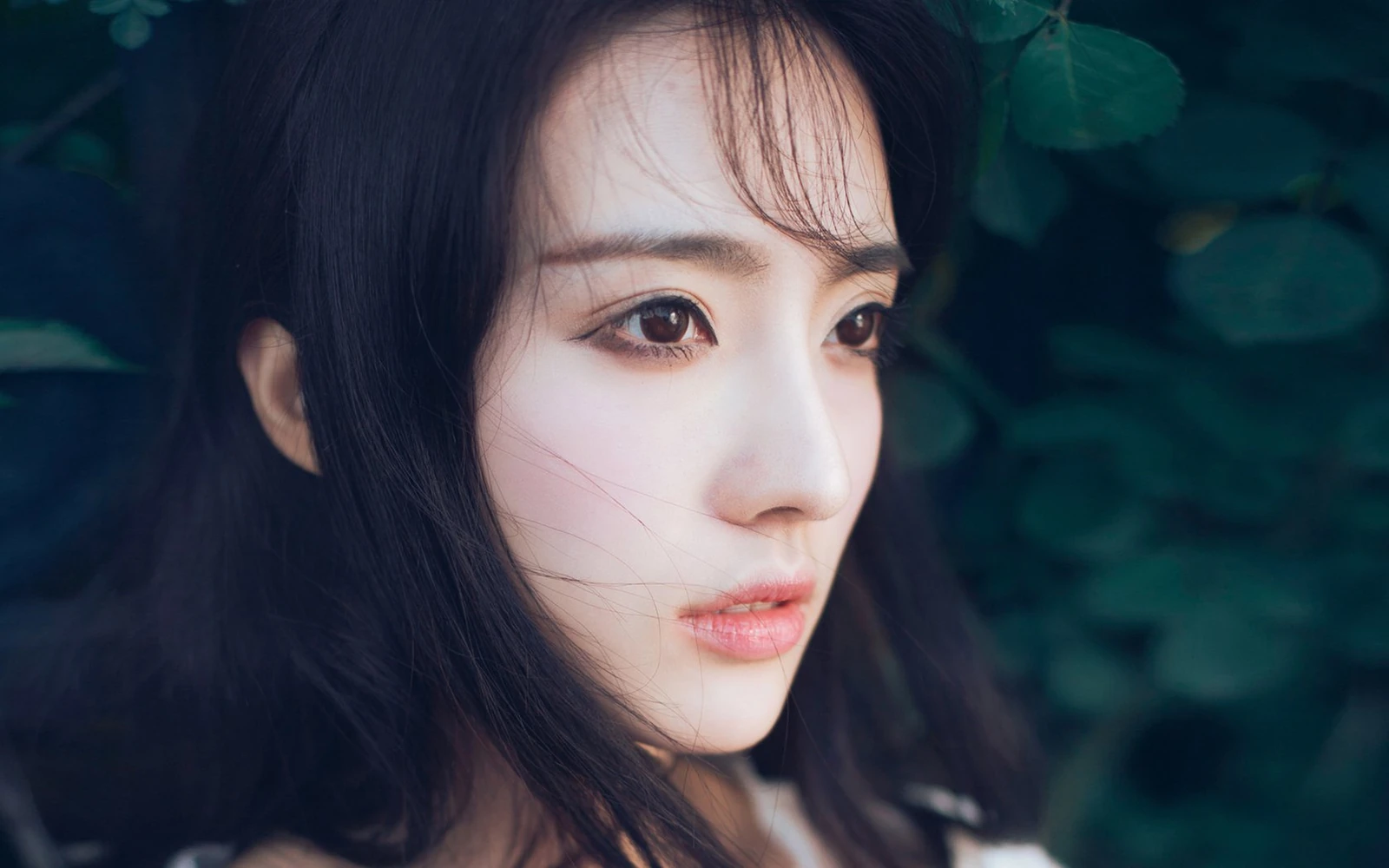不疑春